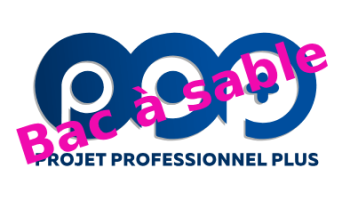 Projet Professionnel Plus - bac à sable